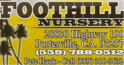 Foothill Nursery