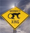 CAUTION : MONKEY SEE - MONKEY DO CROSSING AHEAD